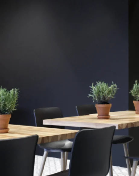 New images 261x590_Pavilion-02